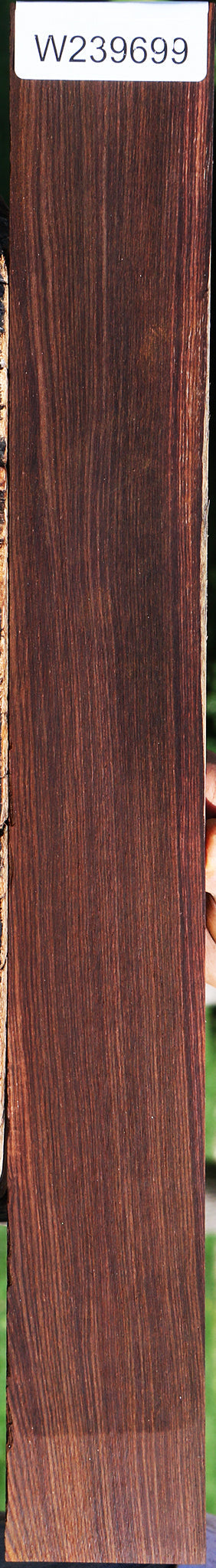 Quartersawn Cocobolo Micro Lumber