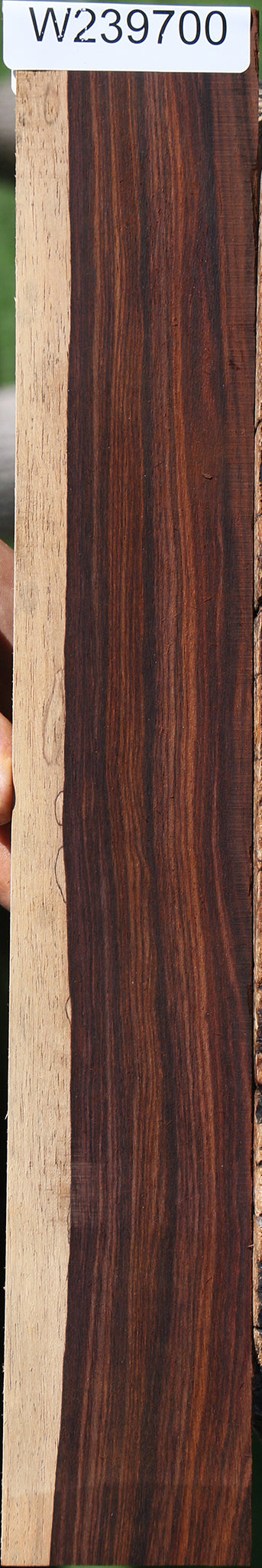 Cocobolo Micro Lumber