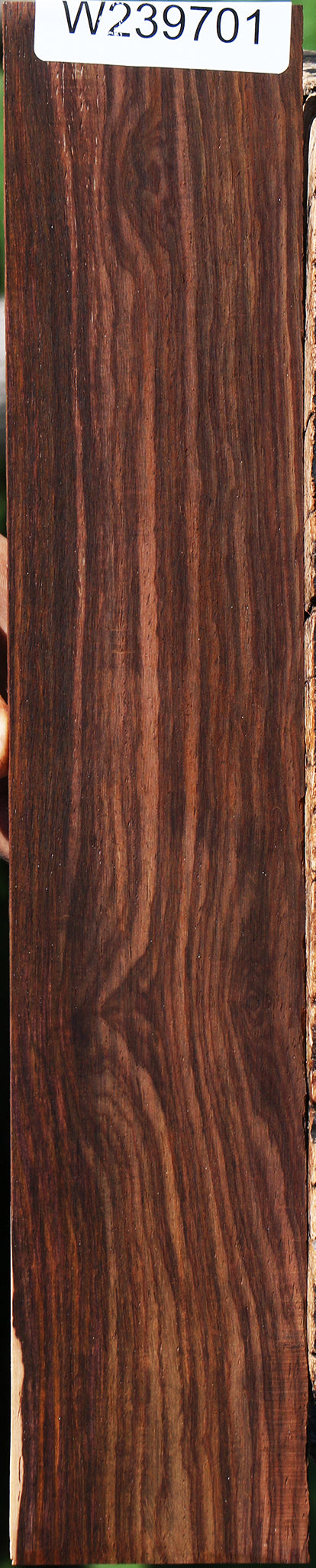 Cocobolo Micro Lumber