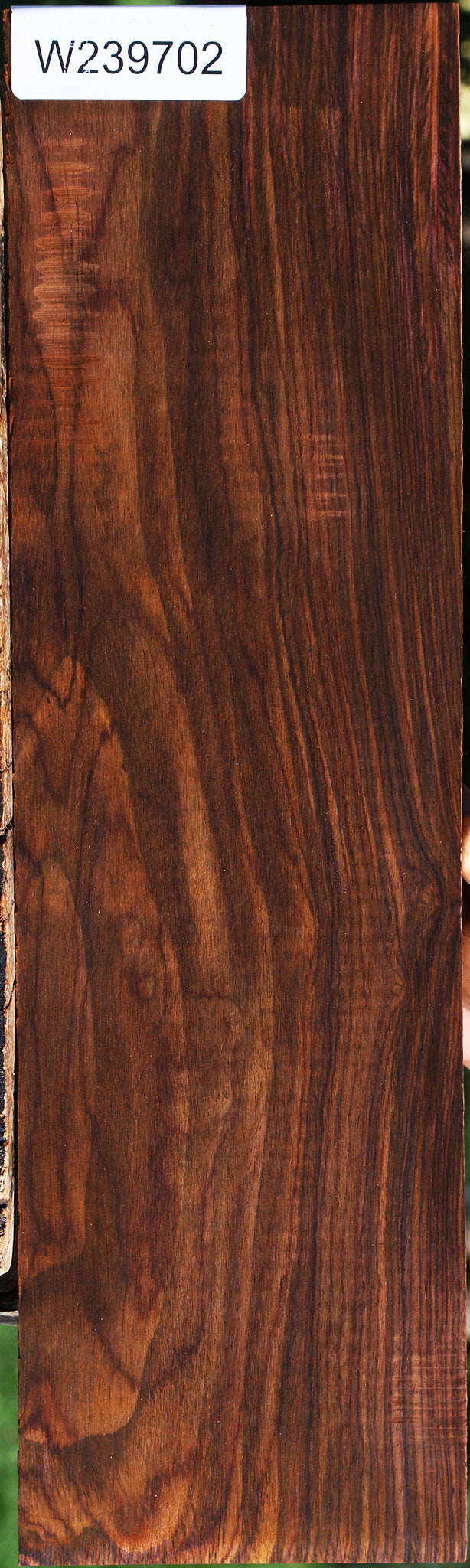 Figured Cocobolo Micro Lumber