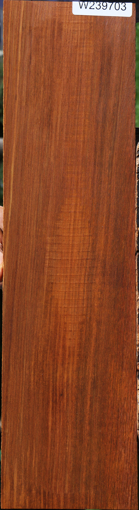 Cocobolo Micro Lumber
