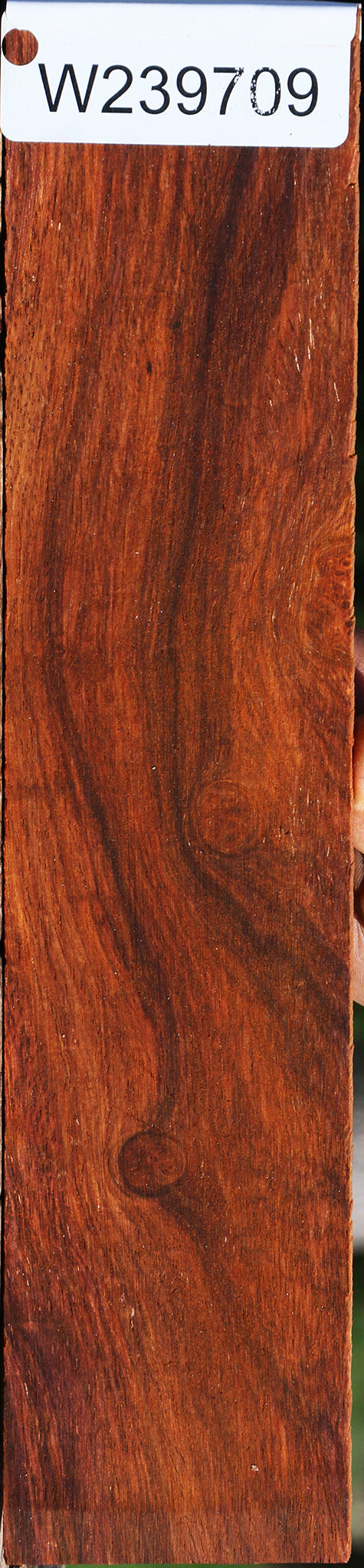 Figured Cocobolo Micro Lumber