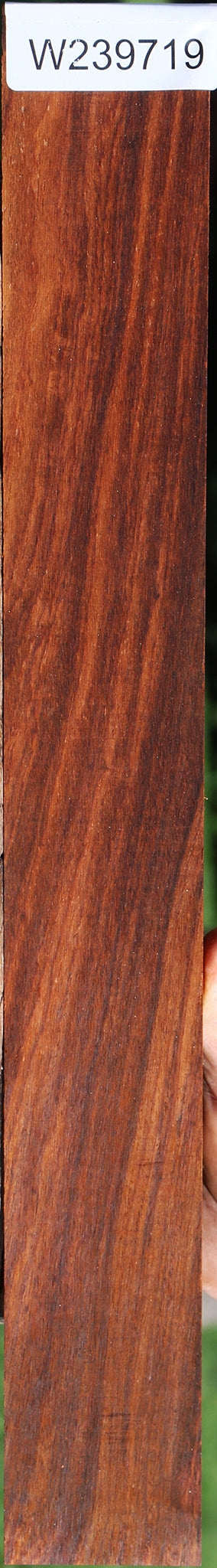 Cocobolo Micro Lumber