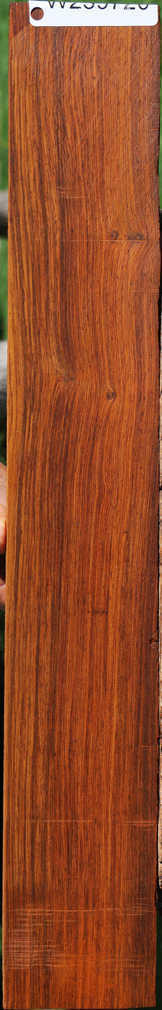 Cocobolo Micro Lumber