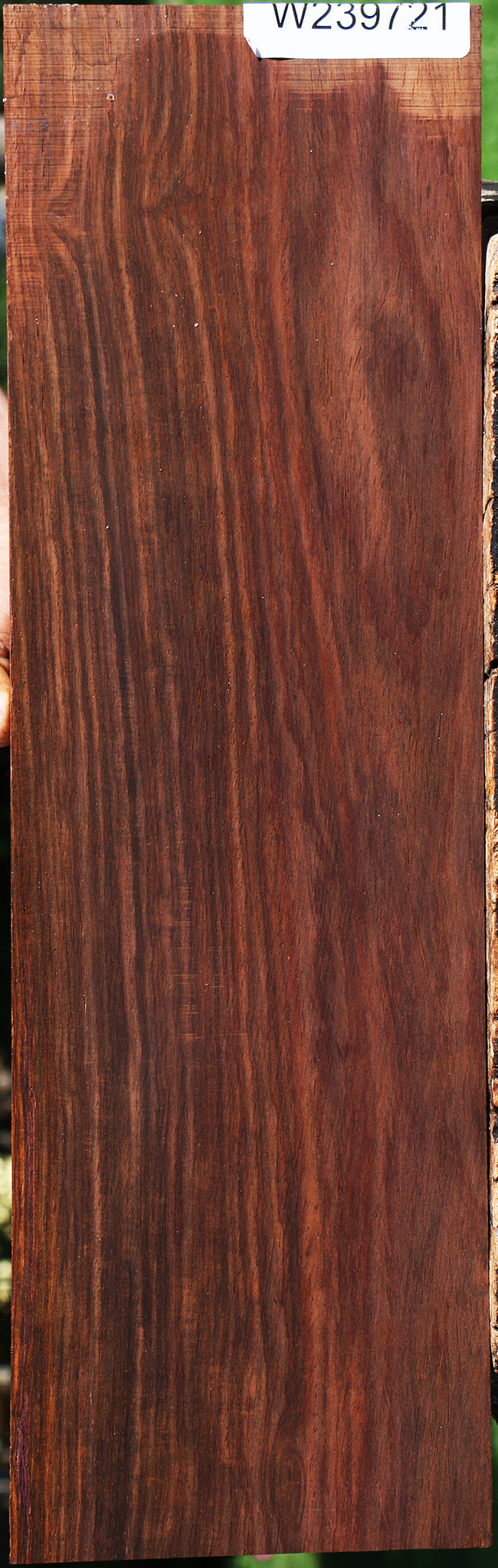 Cocobolo Micro Lumber