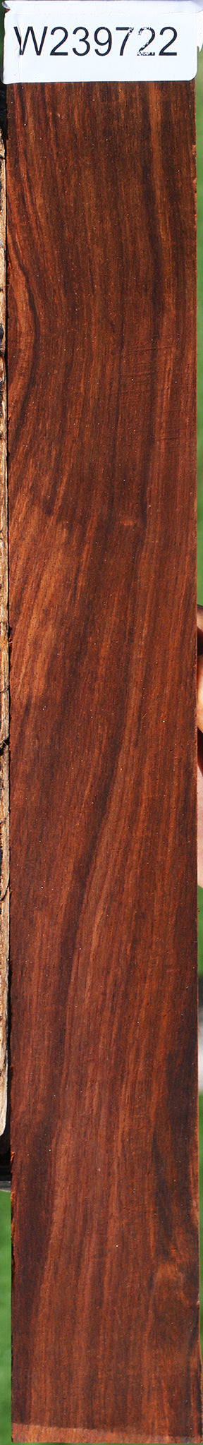Cocobolo Micro Lumber