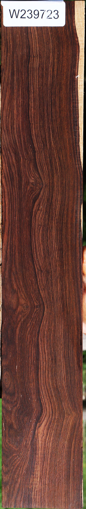 Cocobolo Micro Lumber