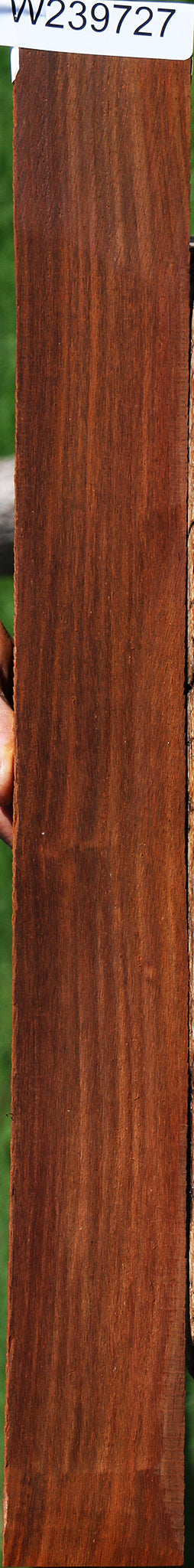 Cocobolo Micro Lumber