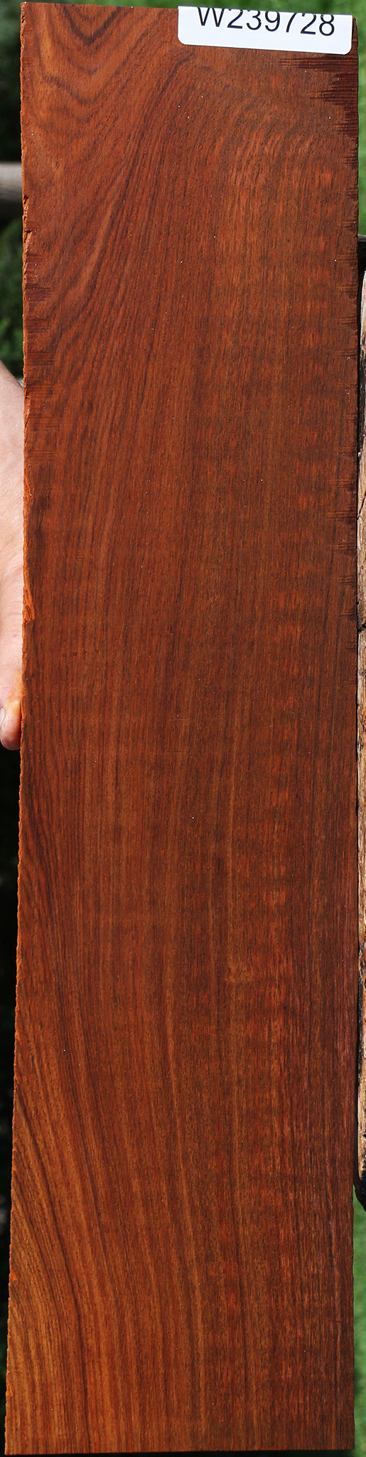 Cocobolo Micro Lumber