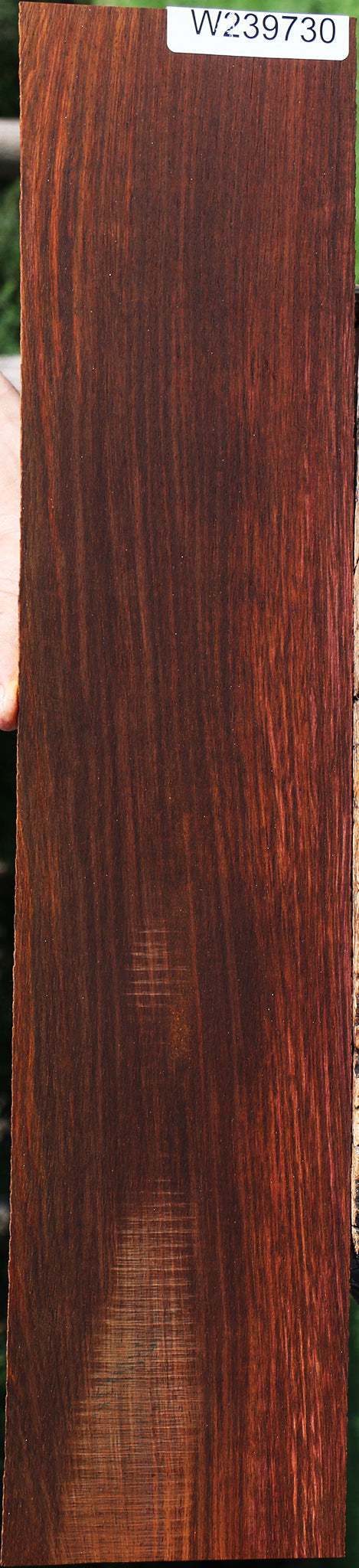 Cocobolo Micro Lumber