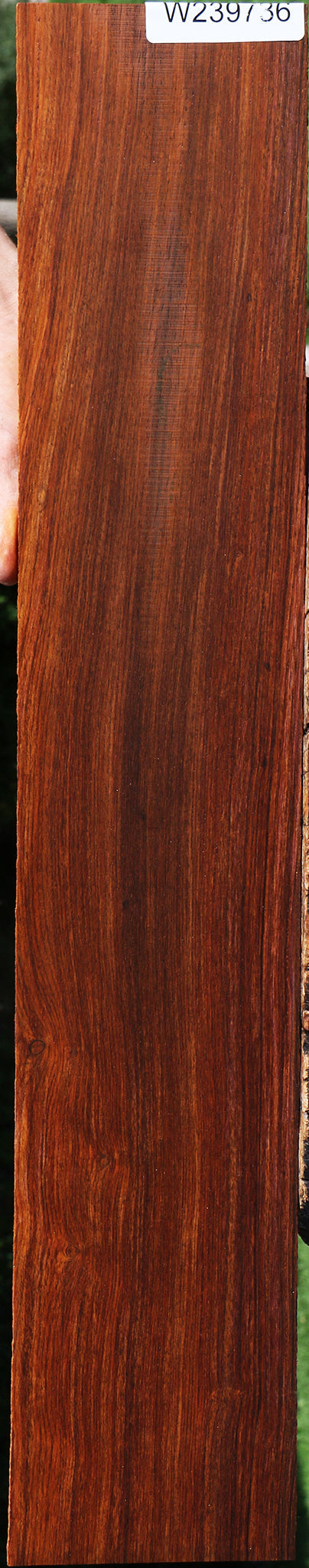 Cocobolo Micro Lumber