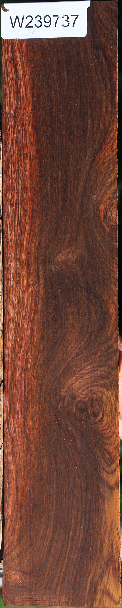 Cocobolo Micro Lumber