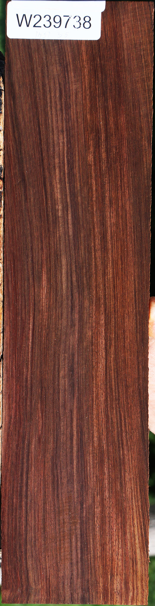 Cocobolo Instrument Micro Lumber