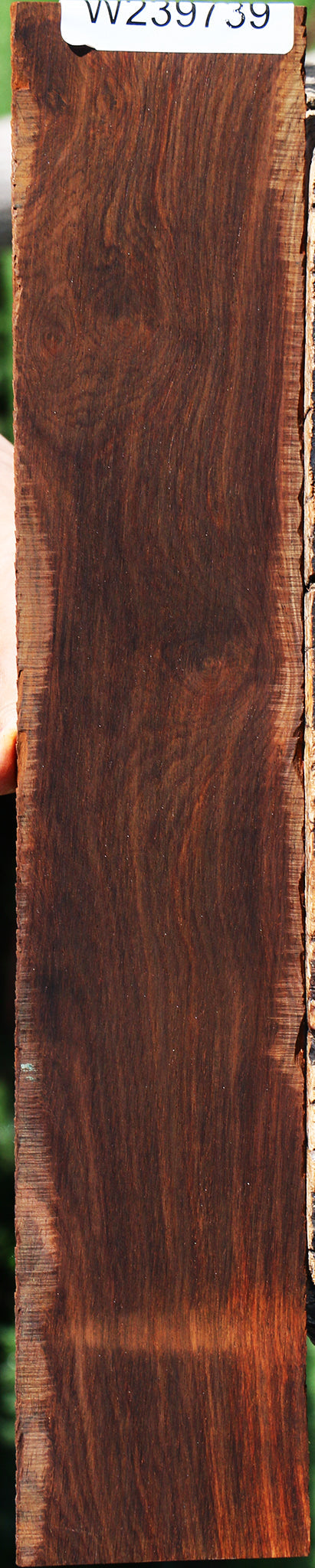 Cocobolo Micro Lumber
