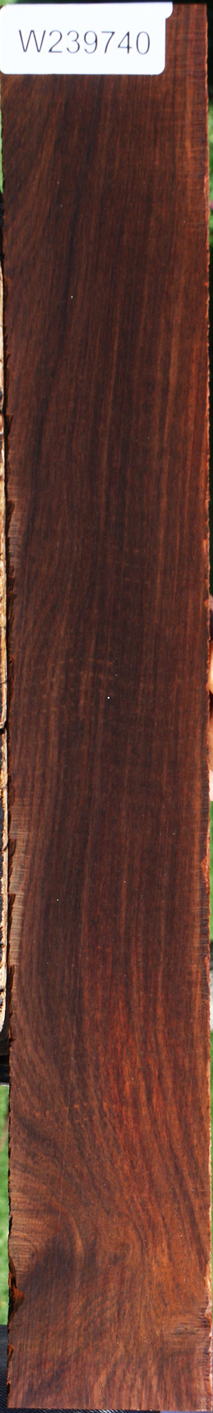 Cocobolo Micro Lumber