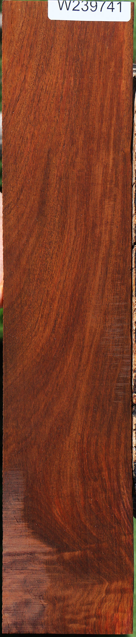Cocobolo Micro Lumber