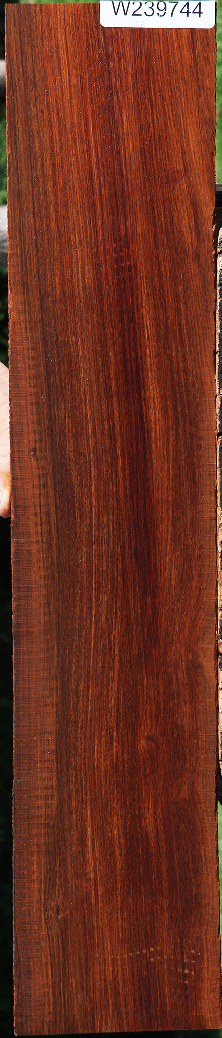 Cocobolo Micro Lumber