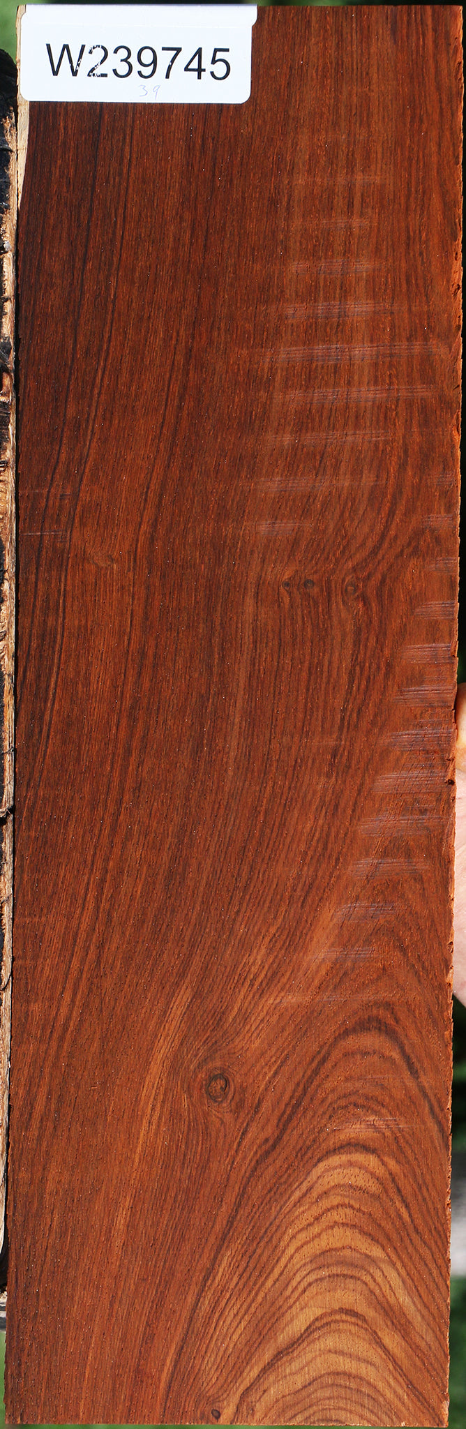 Cocobolo Micro Lumber