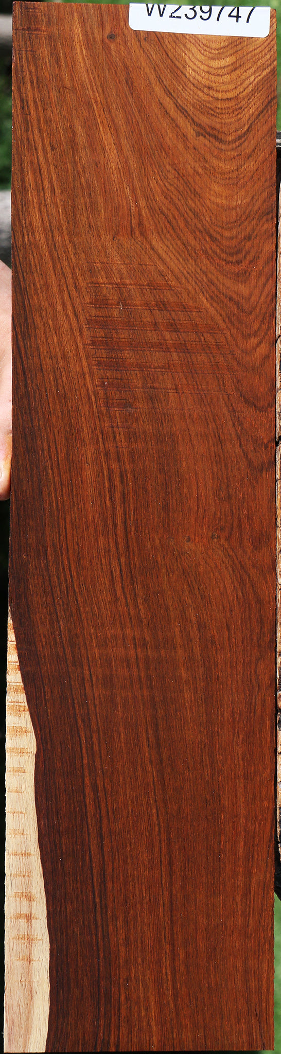 Cocobolo Micro Lumber