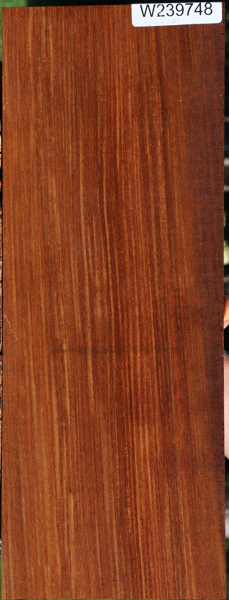 Figured Cocobolo Instrument Micro Lumber