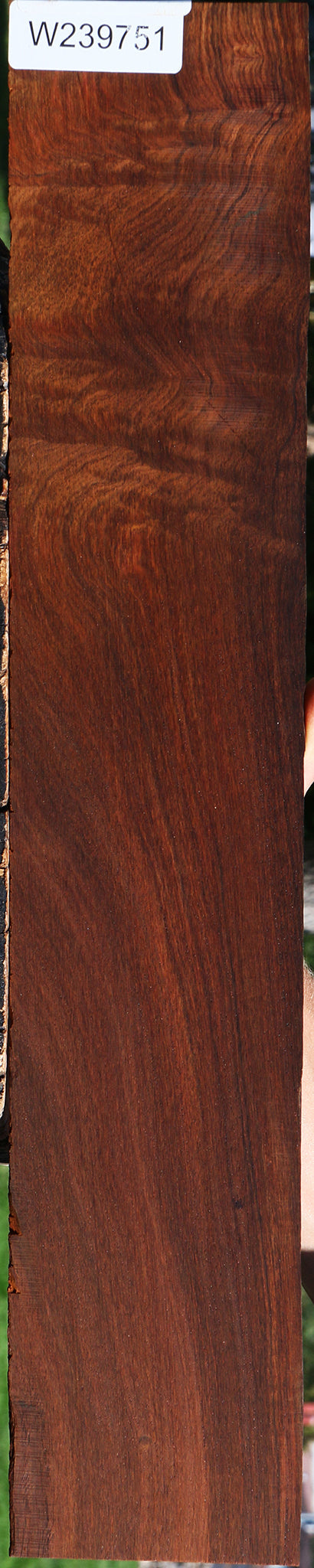 Extra Fancy Cocobolo Micro Lumber