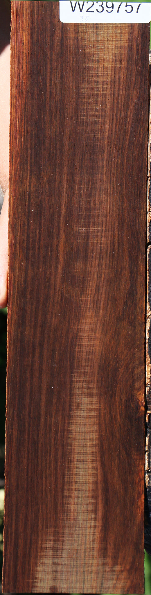 Cocobolo Micro Lumber