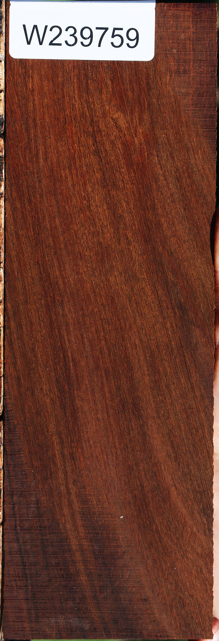 Cocobolo Micro Lumber