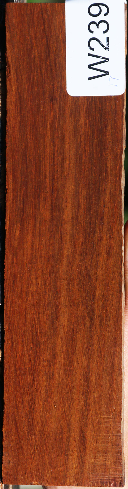 Cocobolo Bridge Blank