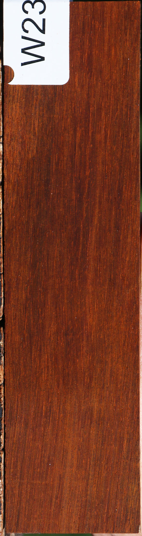 Cocobolo Bridge Blank