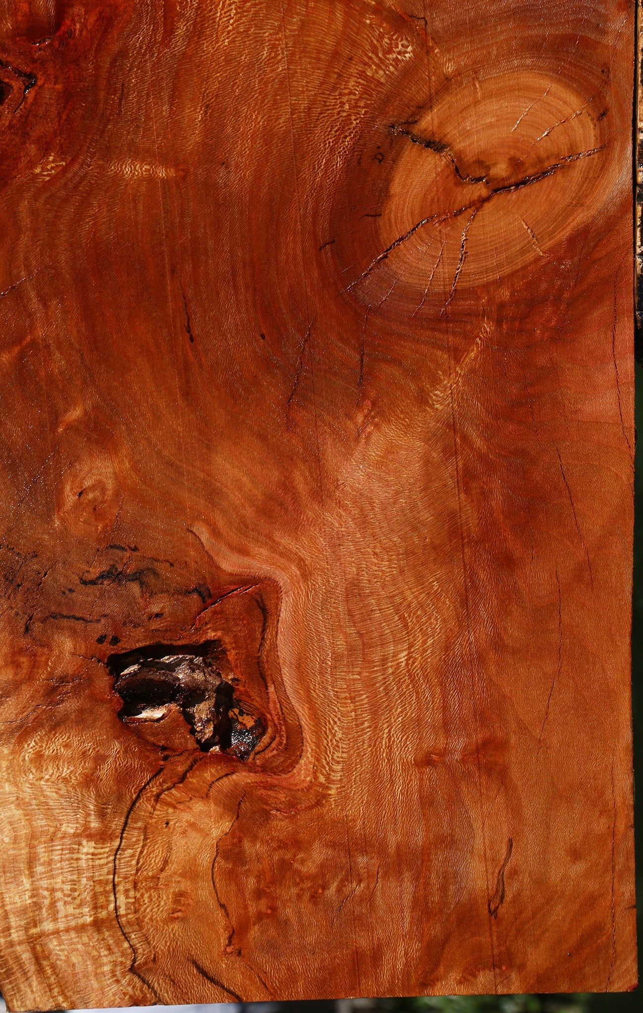 Figured Rustic Sycamore Live Edge Lumber