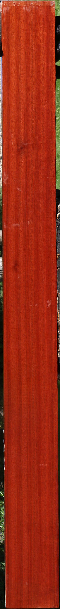 Figured Quartersawn Bloodwood Lumber