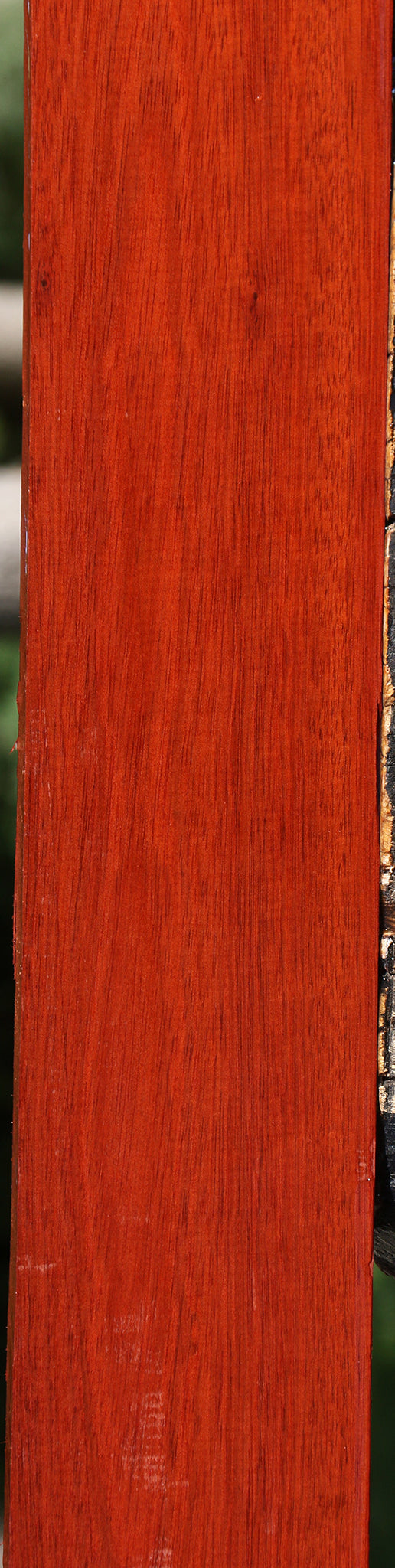 Bloodwood Lumber