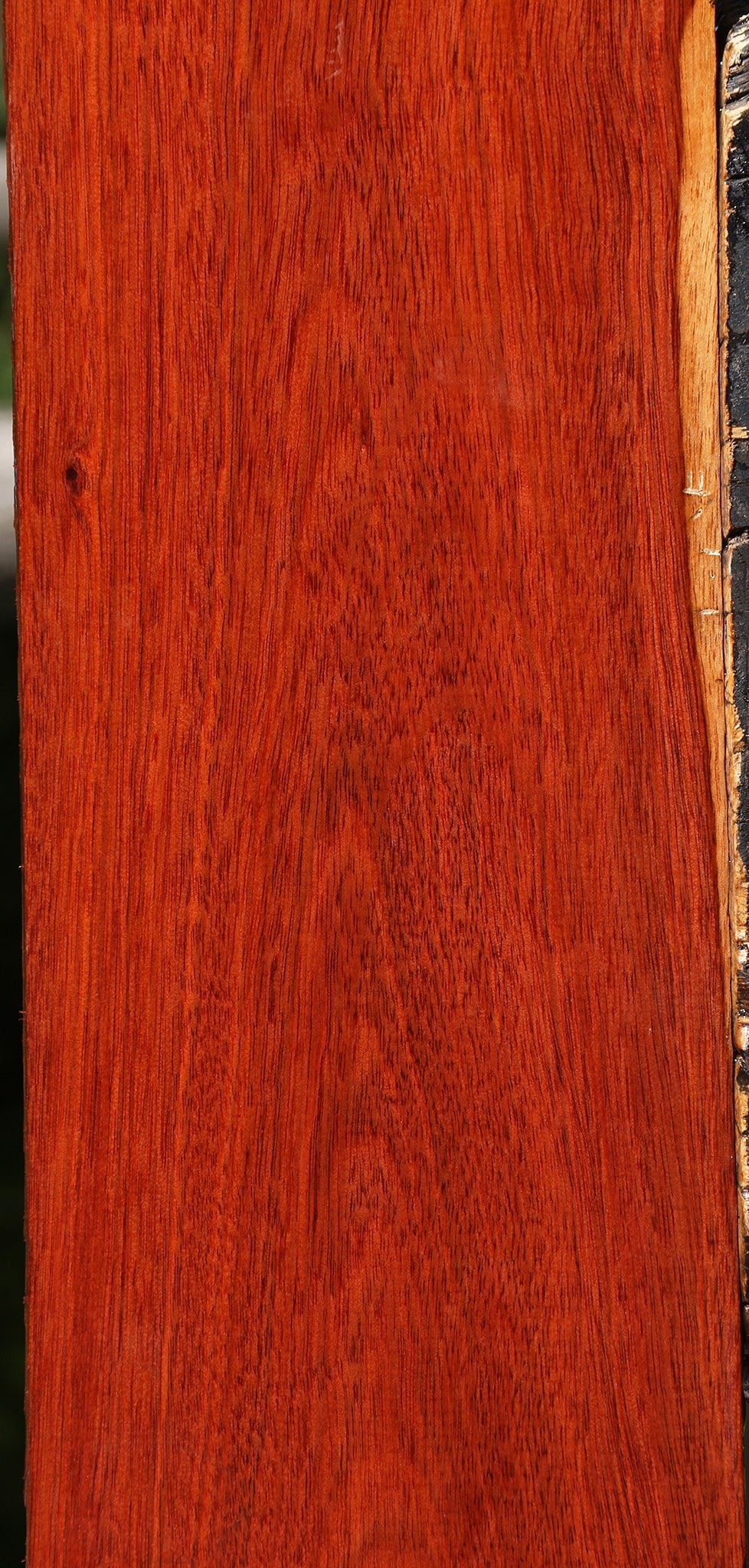 Bloodwood Lumber