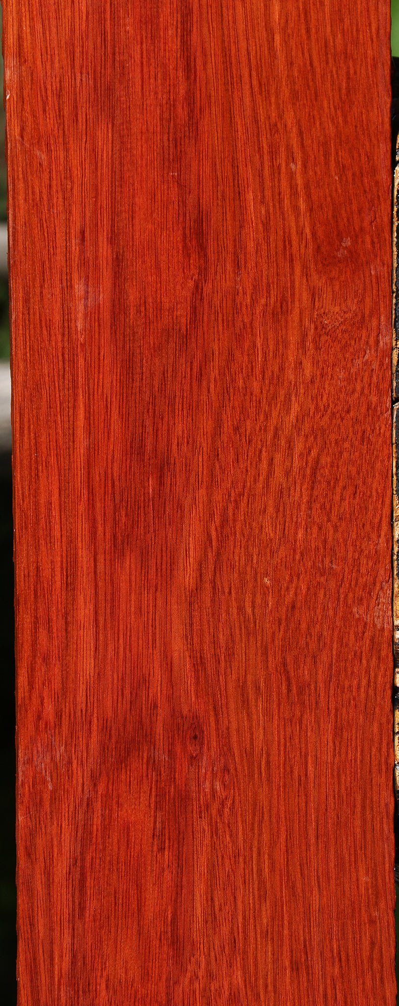 Bloodwood Lumber