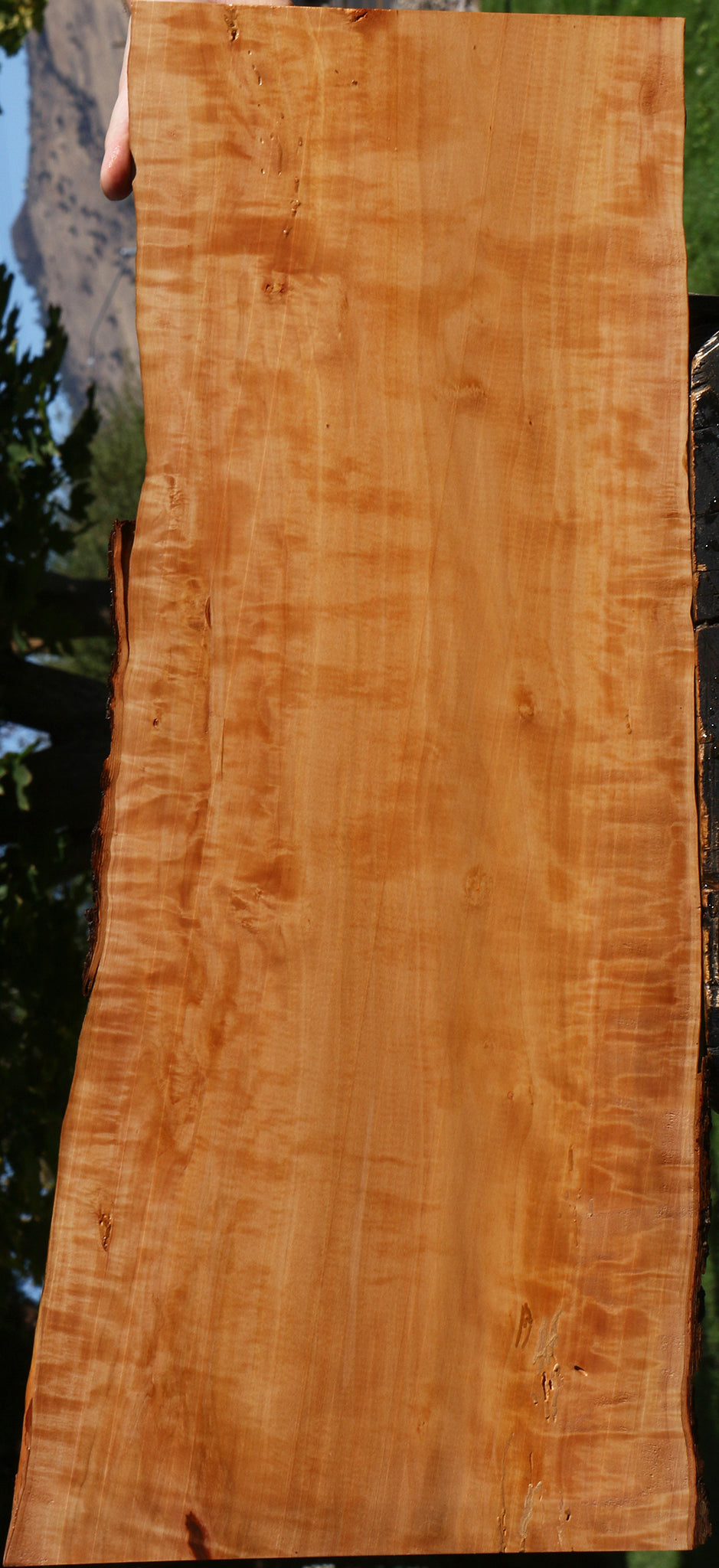 Extra Fancy Swiss Pear Live Edge Lumber