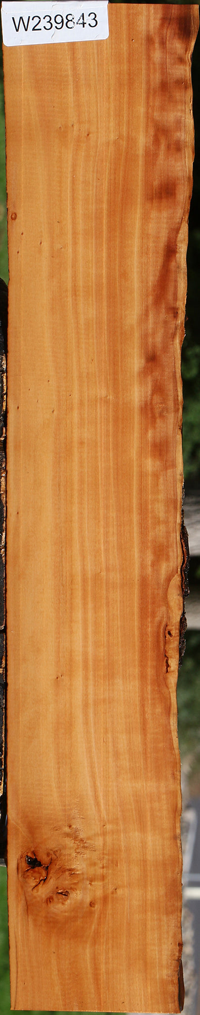 Figured Swiss Pear Live Edge Lumber