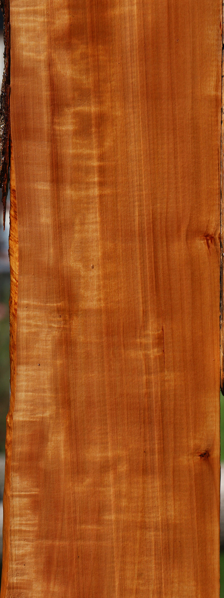 Extra Fancy Swiss Pear Live Edge Lumber