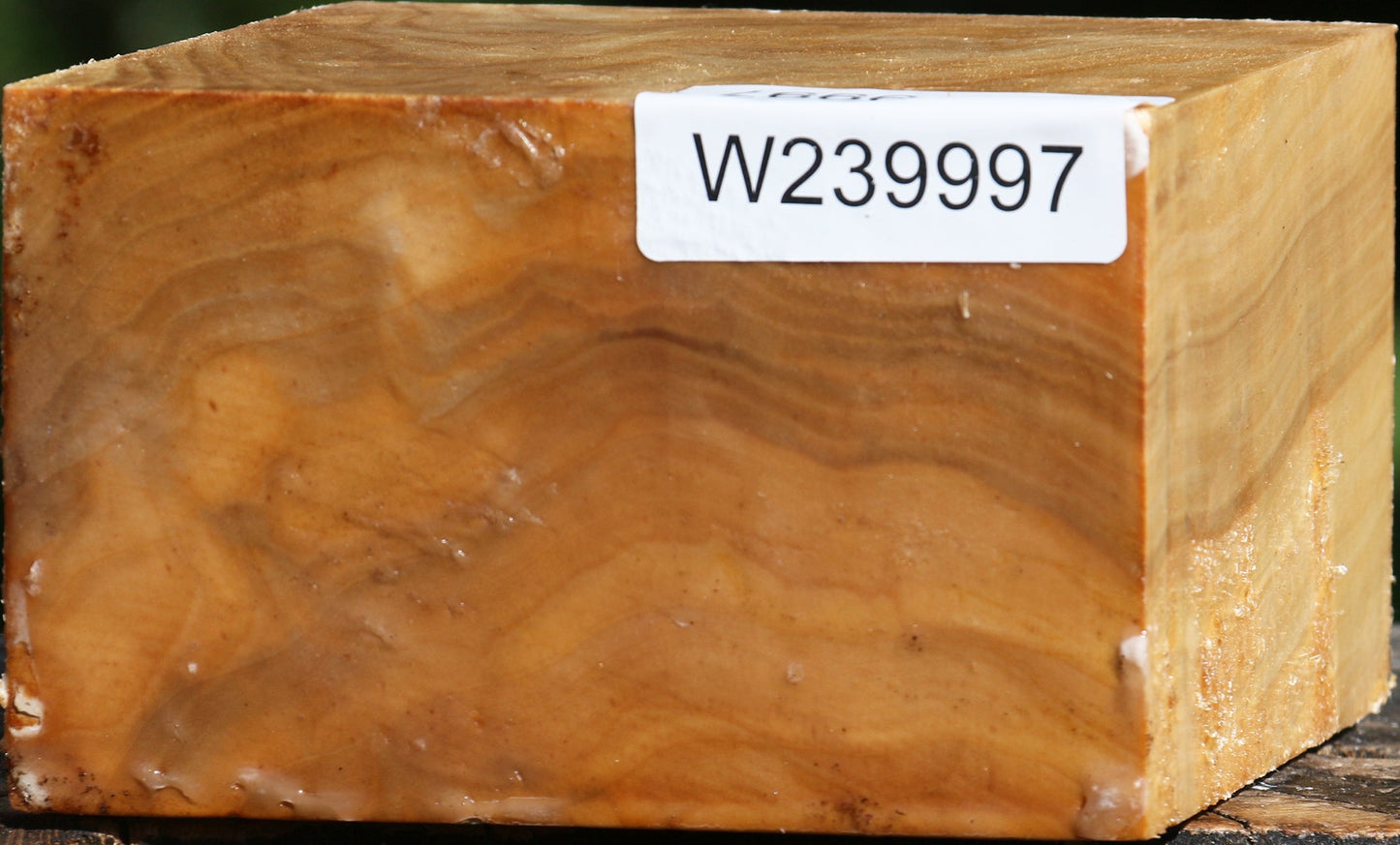 Extra Fancy Silver Poplar Bowl Blank