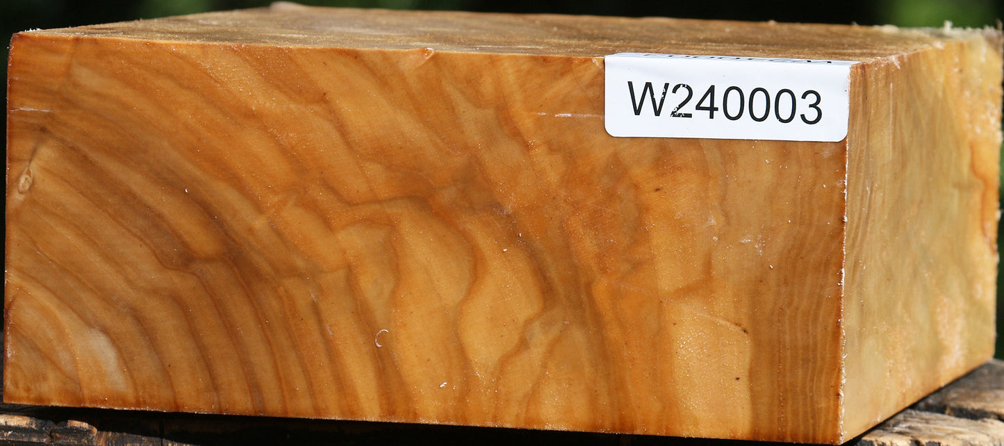 Figured Silver Poplar Bowl Blank