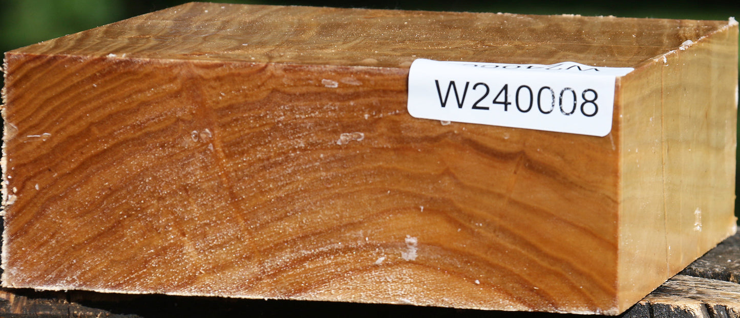 Silver Poplar Bowl Blank