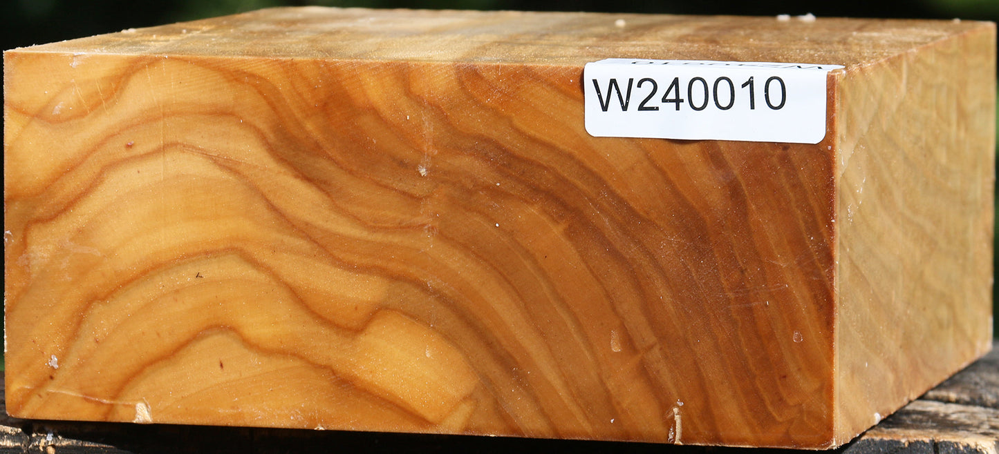 Figured Silver Poplar Bowl Blank