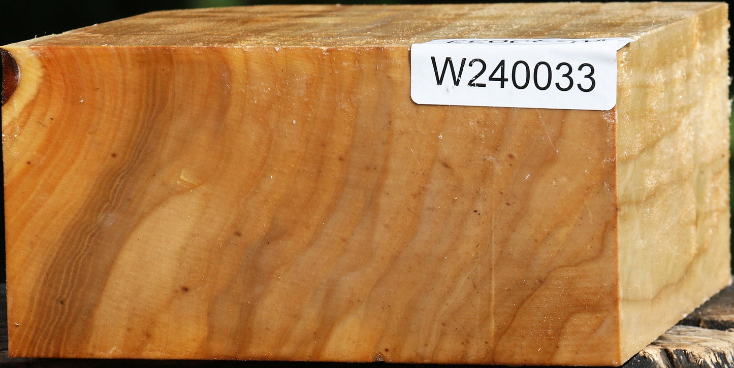 Silver Poplar Bowl Blank