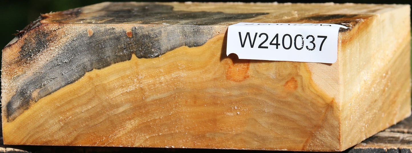 Figured Silver Poplar Bowl Blank