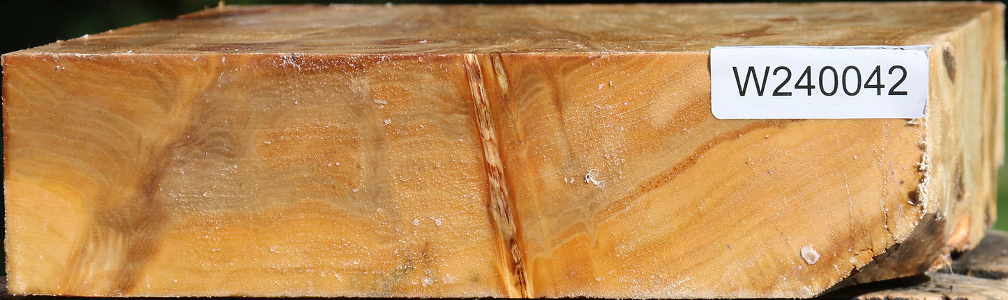 Extra Fancy Silver Poplar Bowl Blank