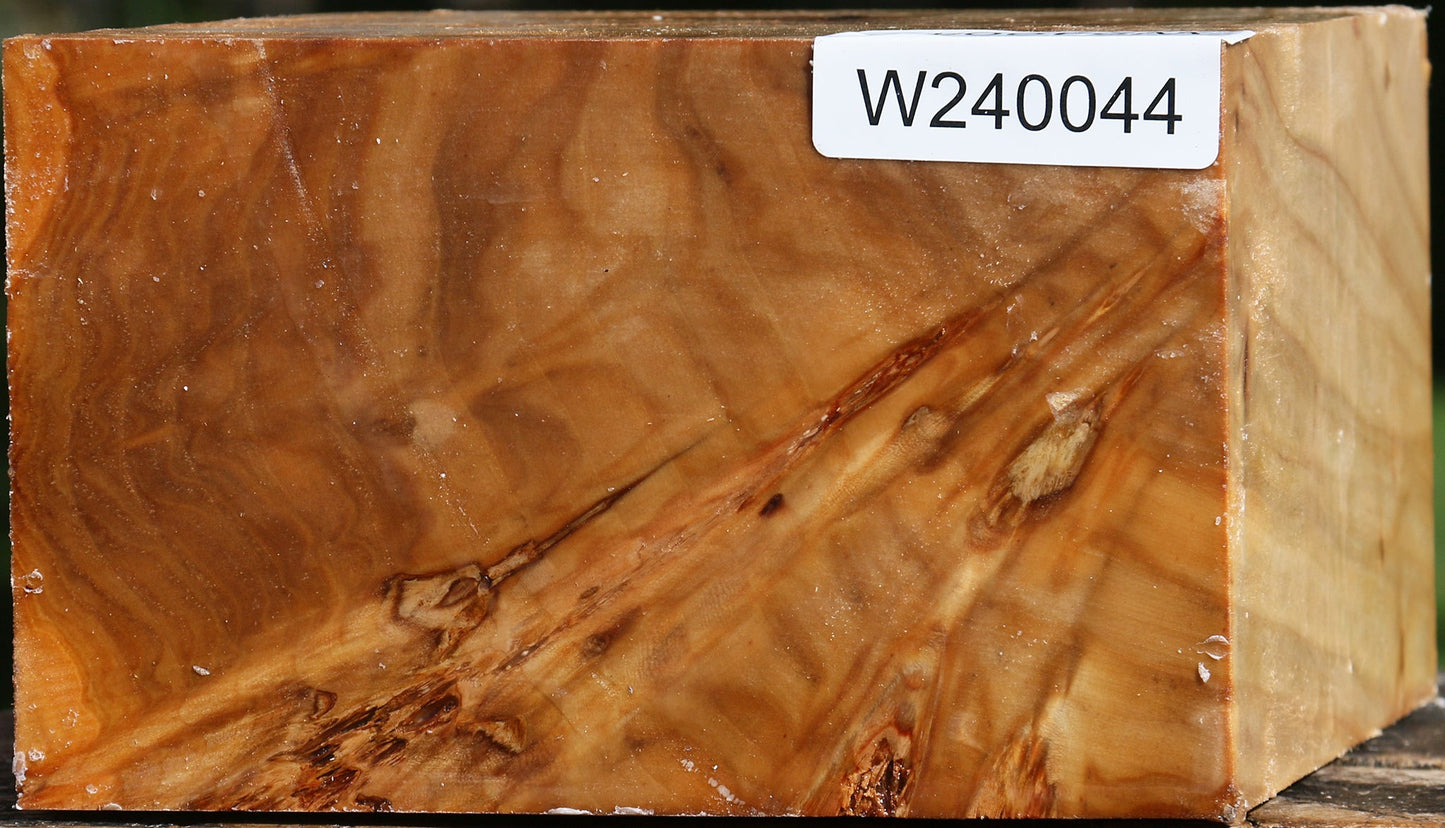 Silver Poplar Bowl Blank