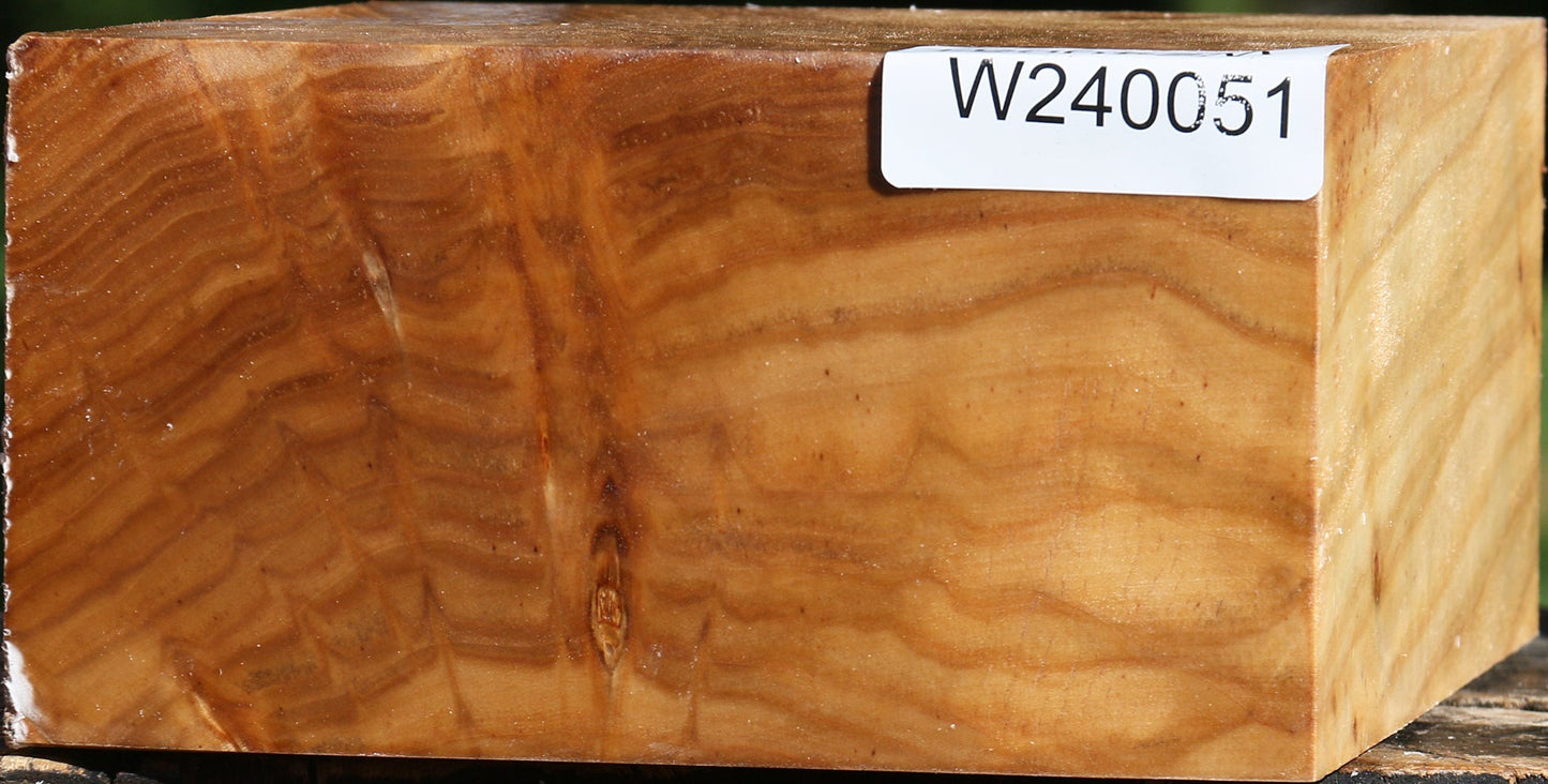 Figured Silver Poplar Bowl Blank