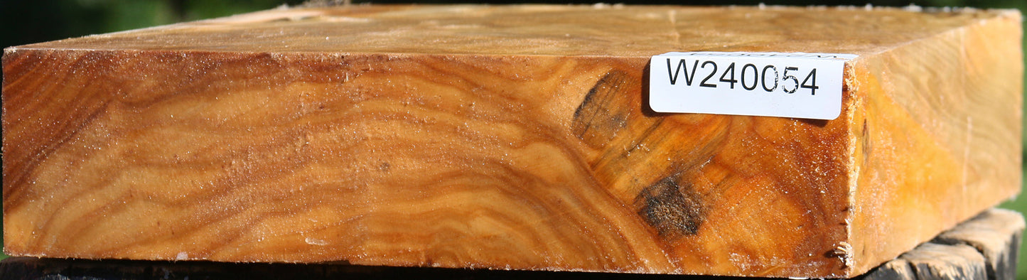 Extra Fancy Silver Poplar Bowl Blank