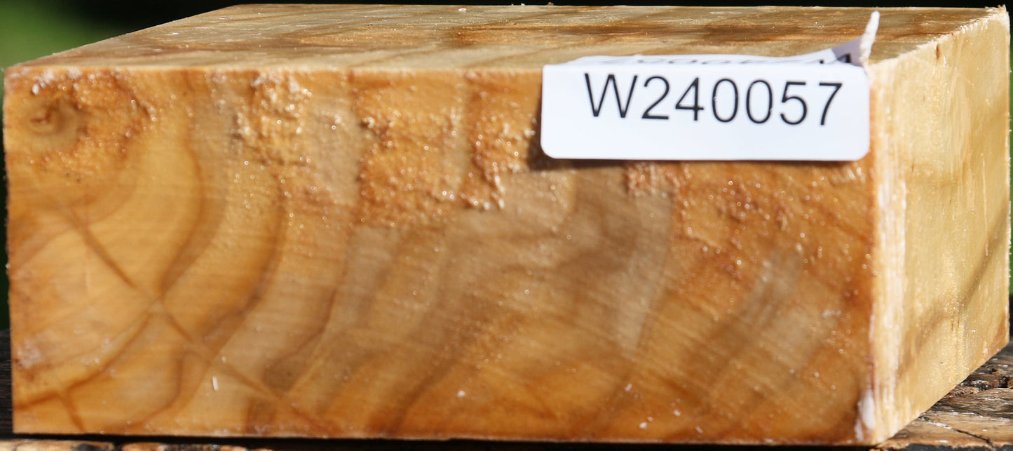 Figured Silver Poplar Bowl Blank