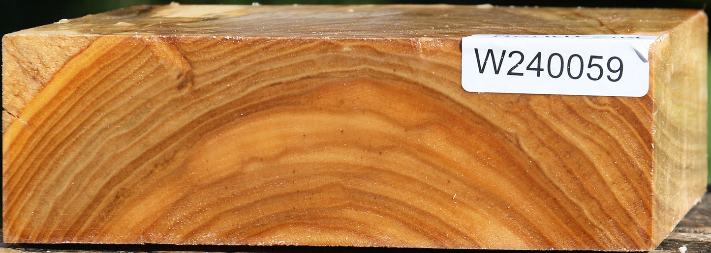 Silver Poplar Bowl Blank