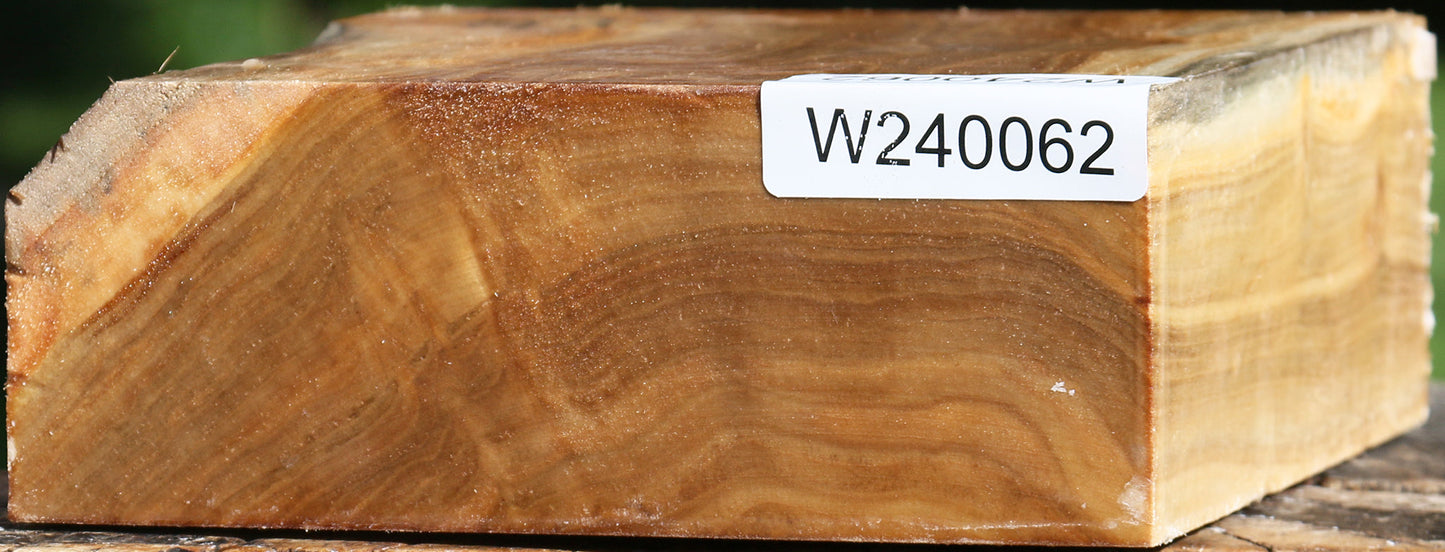 Figured Silver Poplar Bowl Blank